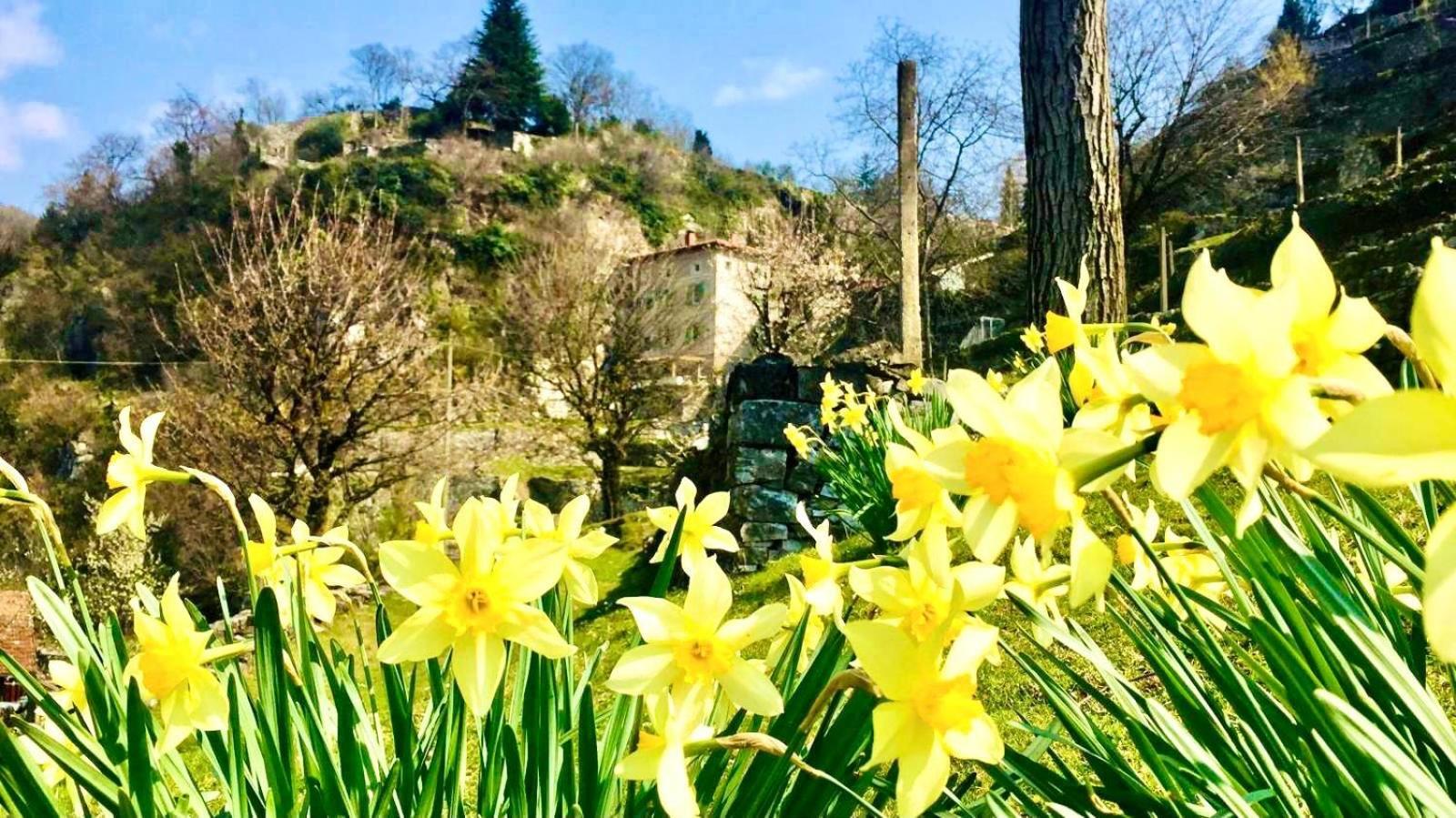 La Casa Sulla Collina Del Castello Villa Breno Eksteriør billede
