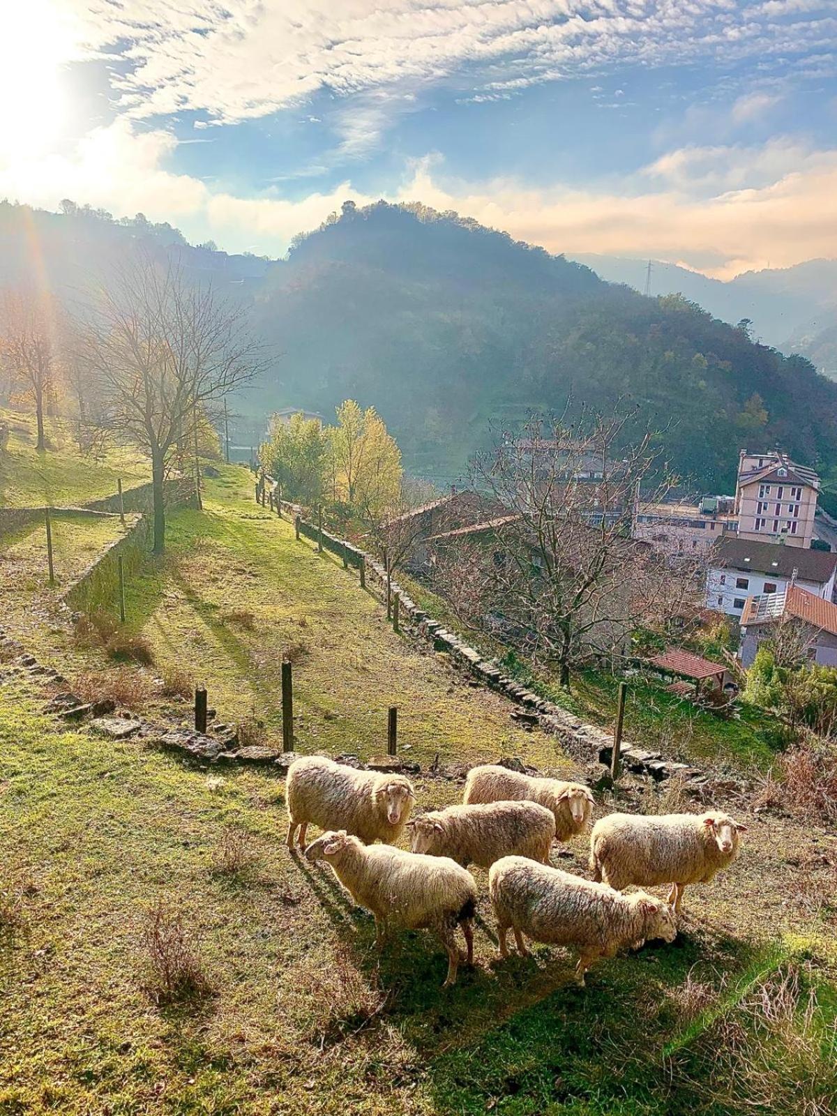 La Casa Sulla Collina Del Castello Villa Breno Eksteriør billede